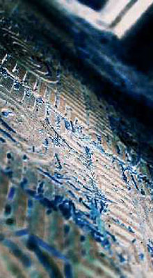 Abstract